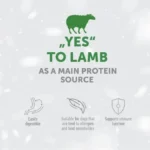 Lamb dog treats for mobility support, promoting healthy bones, joints, and coat