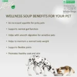 White coat dog complementary soup with salmon and tuna for adult dogs