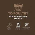 Grain free dry dog food with poultry for adult dogs, promoting skin, coat, and digestion support