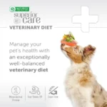 Insect protein dog food for adult dogs, designed to support skin health and minimize allergic reactions