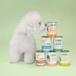 High-protein canned dog food with turkey for adult dogs, promoting digestion, immunity, and muscles