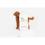 Packaging of Nature’s Protection wheat free puppy food with salmon & krill, designed for small red coat puppies