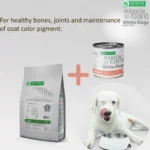 White coat dog soup with salmon and tuna, supports skin, coat & digestion