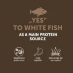 High-quality hypoallergenic dog food, promoting digestion, coat, and skin health