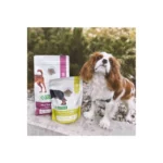 NATURE’S PROTECTION – Mini Extra Salmon – Adult Small Breeds – SMALL KIBBLE, 500 g -"Try Me" - Image 3