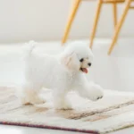 NATURE’S PROTECTION Superior Care – Sensitive Skin & Stomach, with Lamb, Adult Dog, MEDIUM KIBBLE, 1.5 kg - Image 3