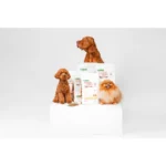 NATURE’S PROTECTION Superior Care – Red Coat, with Salmon & Krill, Adult Dog, SMALL KIBBLE, 40 g "Try Me" / 1.5 kg - Image 4