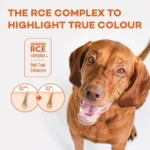 NATURE’S PROTECTION Superior Care – Red Coat, with Salmon & Krill, Adult Dog, SMALL KIBBLE, 40 g "Try Me" / 1.5 kg - Image 6