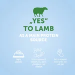 Nature’s Protection – Adult Dog, with Lamb, Medium Kibble, 500 g -"Try Me" / 12 kg - Image 3