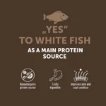 NATURE’S PROTECTION Lifestyle – Adult Cat Sterilised, With White Fish, 400 g -"Try Me" / 1.5 kg - Image 2