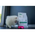 NATURE’S PROTECTION Superior Care – White Dogs, with Insect and Rice, Adult Dog, MEDIUM KIBBLE, 40 g "Try Me"/ 4 kg - Image 3