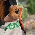 Round Microfibre Towel – Nature’s Protection Design – Three Dogs & Tassels – 150 × 150 cm  ''Dispatch from 28 September. - Image 3