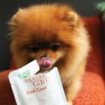 NATURE’S PROTECTION Superior Care – Red Dogs, Topper in Gravy with Tuna, Adult Dog, WET FOOD, 70 g - Image 2